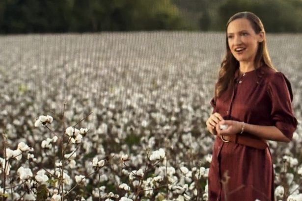 Small Sponsors Gain Bigger Voice at Fox News