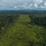 ‘Green’ diesel producer’s supplier linked to Amazon deforestation
