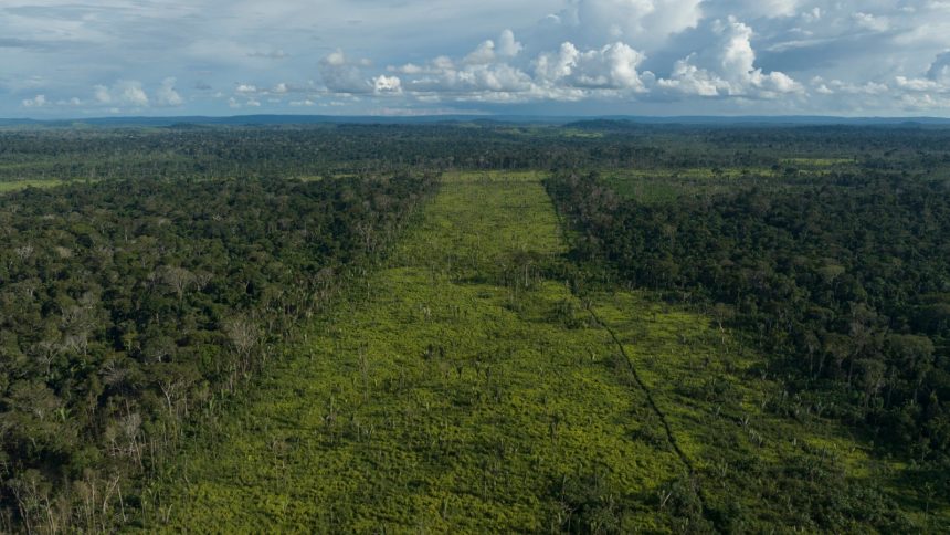 ‘Green’ diesel producer’s supplier linked to Amazon deforestation