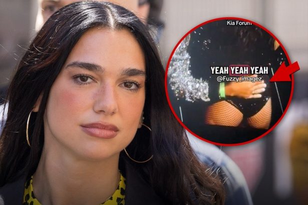 Dua Lipa’s Security Slaps Away Fan’s Hand As It Inches Toward Her Butt, On Video