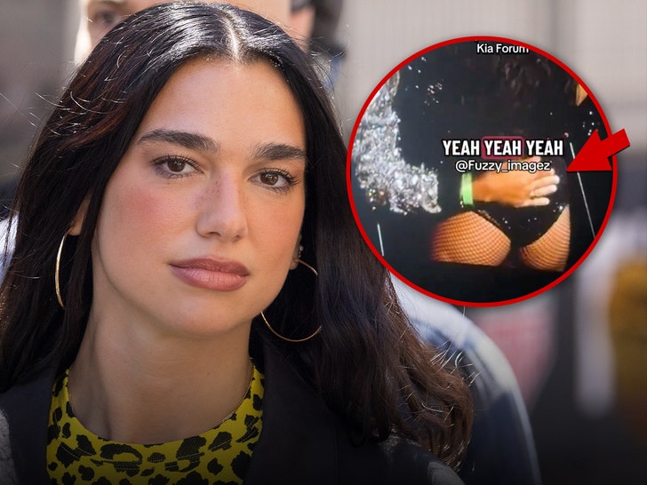 Dua Lipa’s Security Slaps Away Fan’s Hand As It Inches Toward Her Butt, On Video