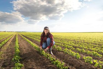 Soybeans Follow Through Higher on Thursday, with Meal Assistance