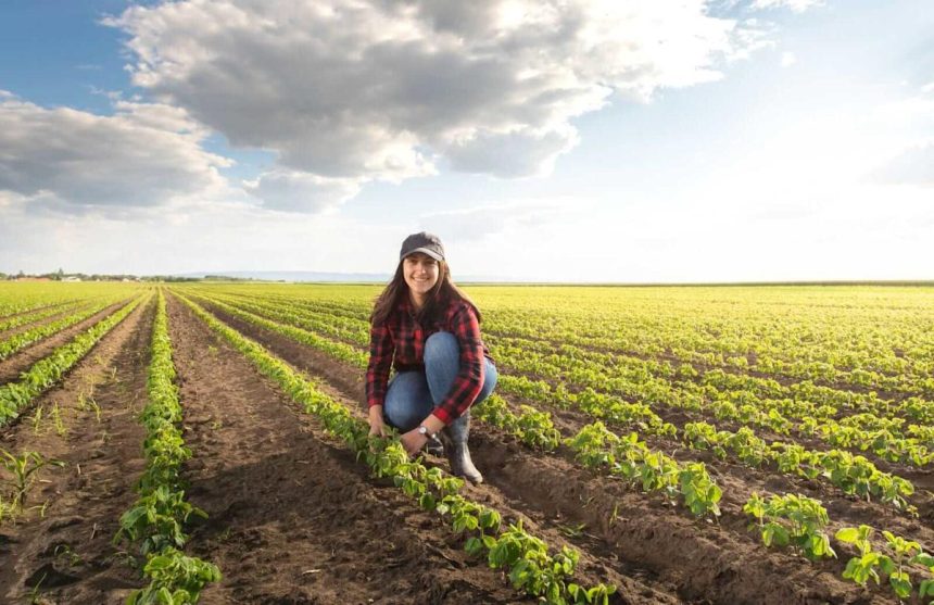 Soybeans Follow Through Higher on Thursday, with Meal Assistance