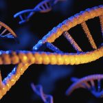 AI generated its first working genome: a tiny bacteria killer