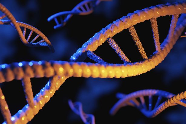 AI generated its first working genome: a tiny bacteria killer