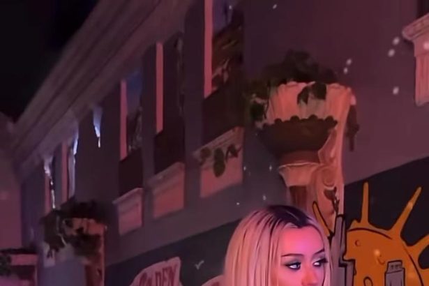 Christina Aguilera Channels Dirrty Era in T-Shirt and Fishnet Outfit