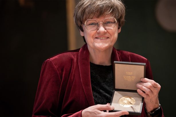 Nobel Prizes honor great discoveries — but leave much of science unseen