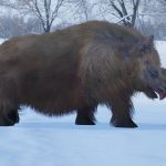 What the longest woolly rhino horn tells us about the beasts’ biology