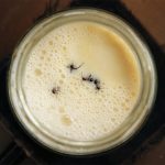 To make a tasty yogurt, just add ants (and their microbes)