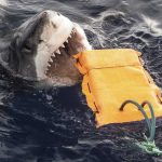 New wetsuit designs offer a layer of protection against shark bites