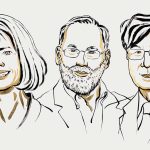 Finding immune cells that stop a body from attacking itself wins medicine Nobel