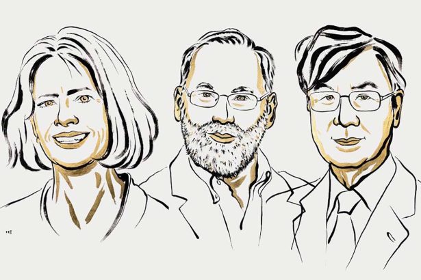 Finding immune cells that stop a body from attacking itself wins medicine Nobel