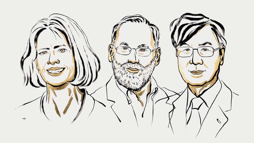Finding immune cells that stop a body from attacking itself wins medicine Nobel