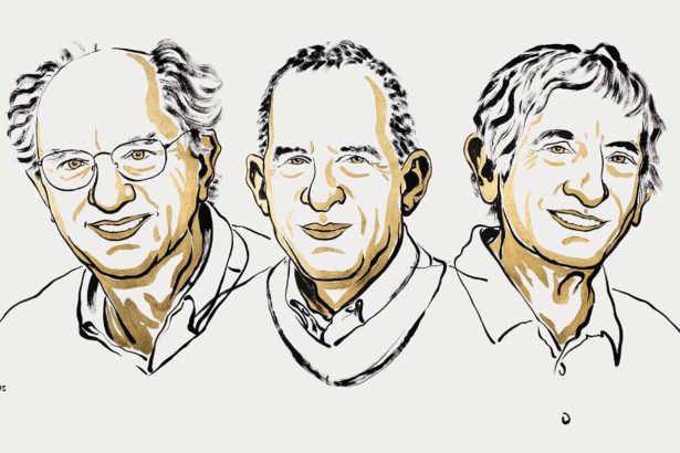 Discoveries that enabled quantum computers win the Nobel Prize in physics