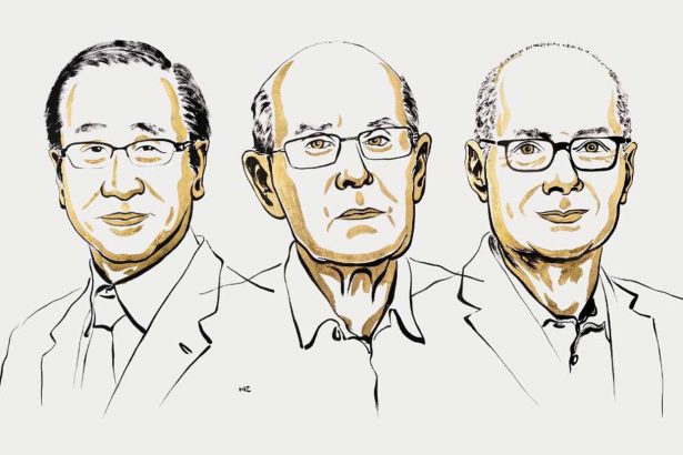 Chemistry that works like Hermione’s magic handbag wins a 2025 chemistry Nobel