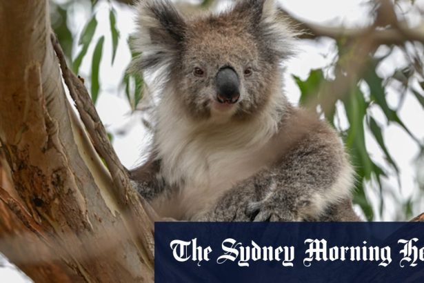 Banking giants take fire on ‘nature risk’