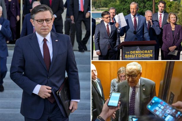 Senate Dems block bid to end government shutdown as agencies set to lay off 750K employees daily