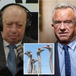 NYC billionaire John Catsimatidis  launched crusade to save ostriches after personal appeal from farmer