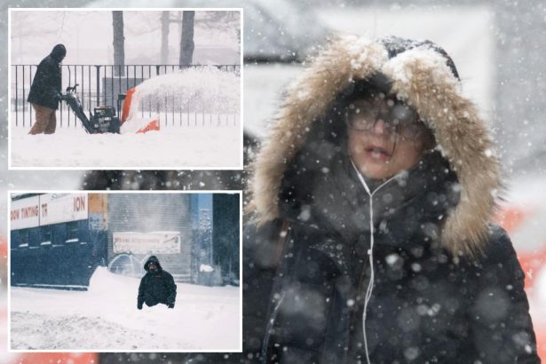 Meterologists reveal this much more snow is expected to hit NYC this winter