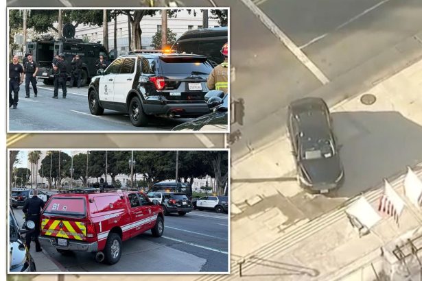 Driver crashes into steps of LA City Hall, barricades himself inside car with oxygen tank, note to Trump