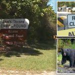 Missouri man mauled to death at Arkansas campsite after texting family photos of bear