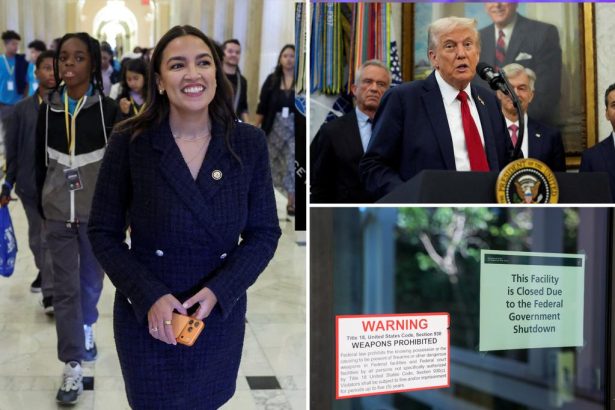 AOC resorting to ‘baseless hysteria’ over stalled stopgap funding bill to score donations: White House