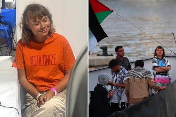 Celebrity activist Greta Thunberg being held in bedbug-infested cell in Israel: ‘Sitting for long periods on hard surfaces’