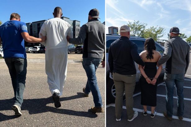 ‘Minnesota nice’ enabled immigration fraud to flourish in Twin Cities for decades, ex-sheriff says: ‘It’s all about votes’