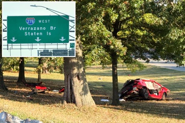 Three young men killed when car flips over median on NYC highway: police