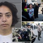 Far-left professor Eman Abdelhadi charged with violent felonies after Chicago ICE facility riots