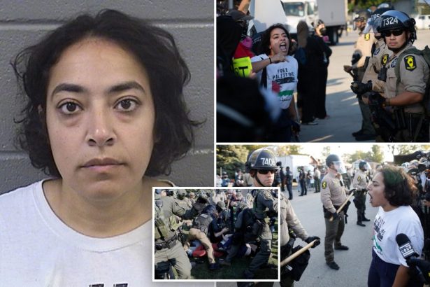 Far-left professor Eman Abdelhadi charged with violent felonies after Chicago ICE facility riots
