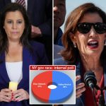 Elise Stefanik just 5 points behind ‘deeply vulnerable’ Kathy Hochul in NY governor’s race: internal poll