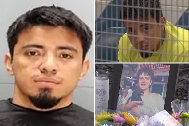 Illegal immigrant quietly handed  slap-on-the-wrist sentence for hit-and-run that killed University of South Carolina student