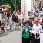 Central Park visitors support horse carriage rides, oppose NYC’s ban: poll