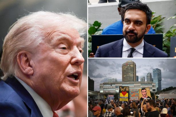 Zohran Mamdani refuses to credit Trump over Gaza cease-fire deal as other NY Dems offer tepid kudos