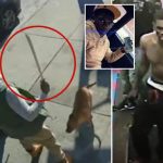 NYC machete attack suspect has 45 prior arrests —  and now charged in fatal hit and run involving cancer survivor