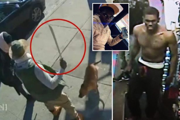 NYC machete attack suspect has 45 prior arrests —  and now charged in fatal hit and run involving cancer survivor