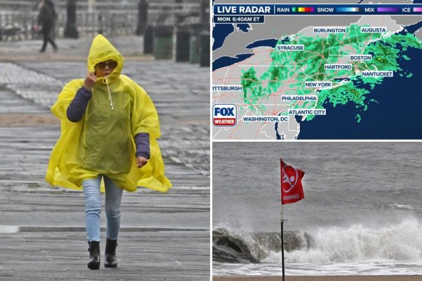 State of emergency declared in NYC, Long Island and Westchester County as nor’easter slams area