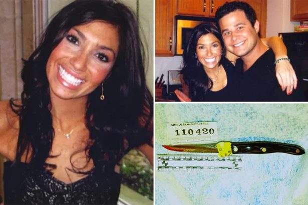 Stunning new ruling in mysterious 2011 stabbing death of Philly teacher Ellen Greenberg