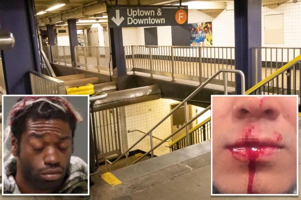 NYC transit slasher cut loose by judge, then knifes stranger in deranged subway attack: cops