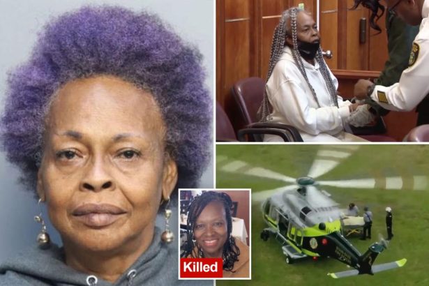 Family of Florida grandmother killed in hit-and-run outraged that driver refused to apologize after pleading guilty: ‘It hurts’