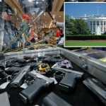 Government shutdown puts gun ownership at risk, House Republicans warn