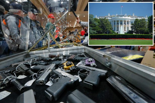 Government shutdown puts gun ownership at risk, House Republicans warn