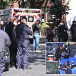 Human head, torso found dumped in trash bag in Brooklyn