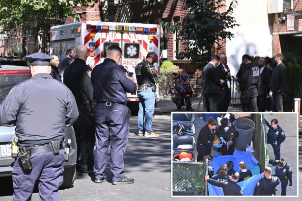 Human head, torso found dumped in trash bag in Brooklyn