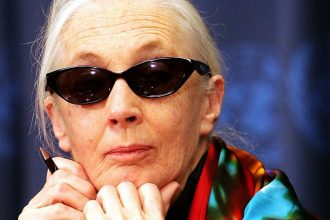 From the Vogue Archives: A 71-Year-Old Jane Goodall on Her Fight to Save the Planet