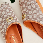 Coach vs Traditional Clogs: Which Pair Wins In 2025?