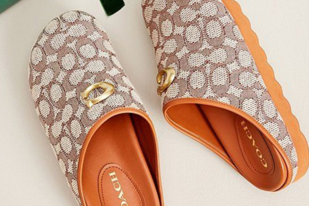 Coach vs Traditional Clogs: Which Pair Wins In 2025?