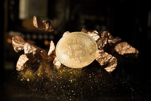 Peter Schiff Describes Bitcoin’s Jump Over 6,000 As ‘Bear Market Rally’: ‘Too Early For Bitcoiners To Get Excited…’