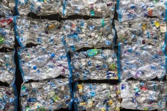 PureCycle (PCT) Surges 12% on EU Expansion